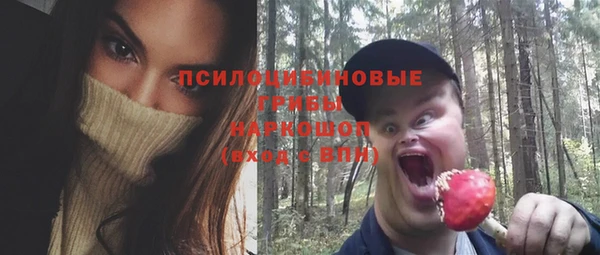 спиды Горно-Алтайск
